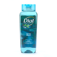 9783_04002181 Image Dial Antibacterial Moisturizing Body Wash, Spring Water.jpg